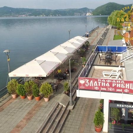 Zlatna Ribica Leilighet Golubac Eksteriør bilde
