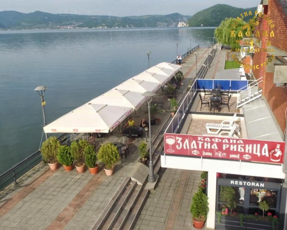 Zlatna Ribica Leilighet Golubac Eksteriør bilde