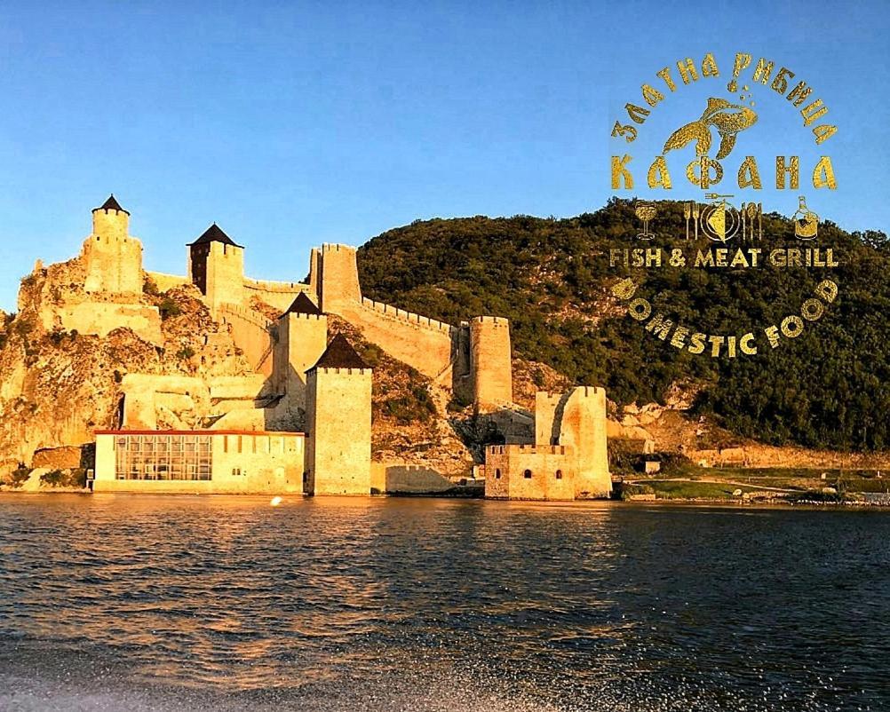 Zlatna Ribica Leilighet Golubac Eksteriør bilde
