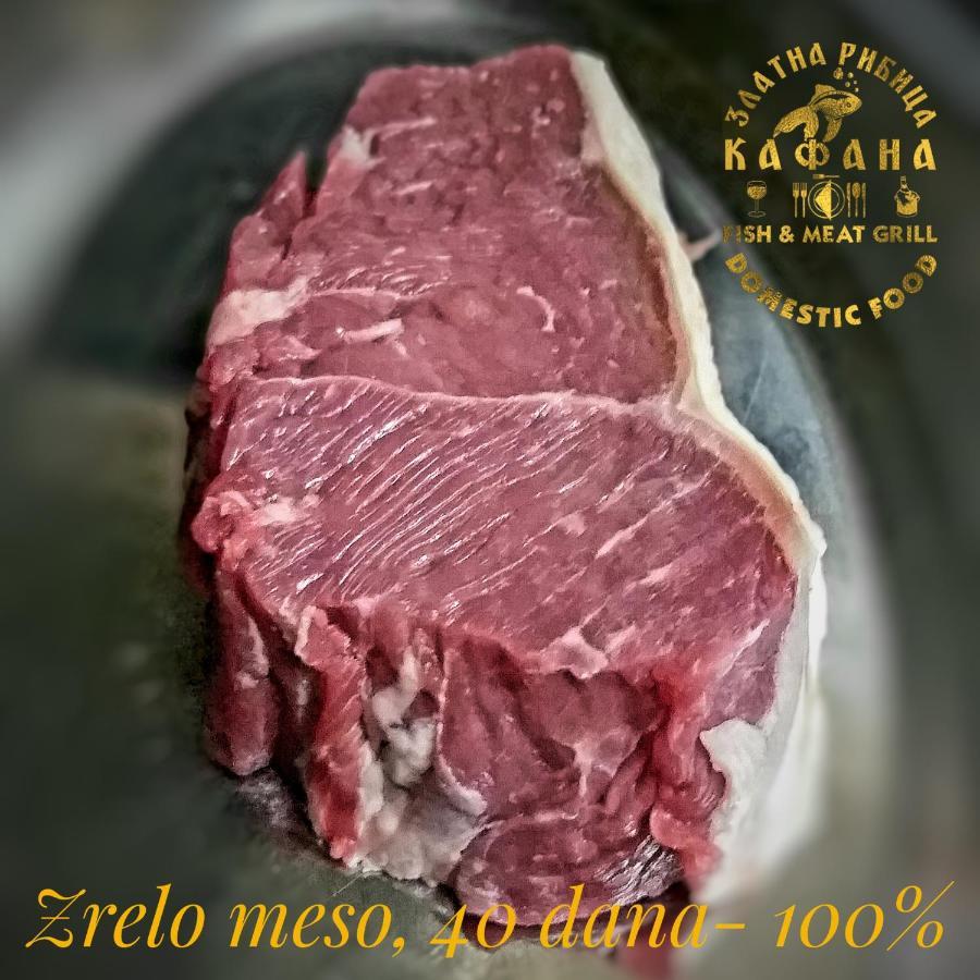 Zlatna Ribica Leilighet Golubac Eksteriør bilde