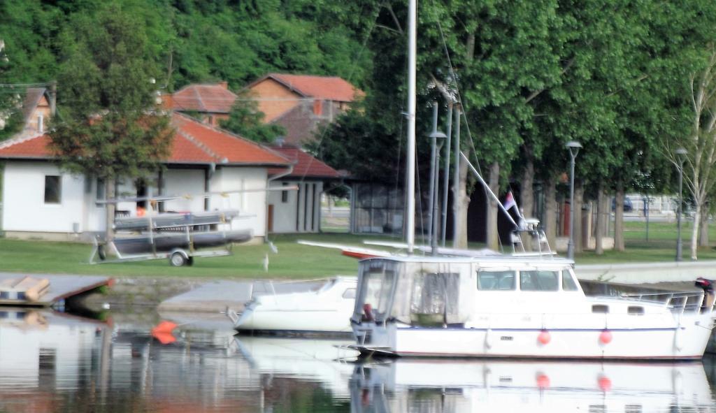 Zlatna Ribica Leilighet Golubac Eksteriør bilde